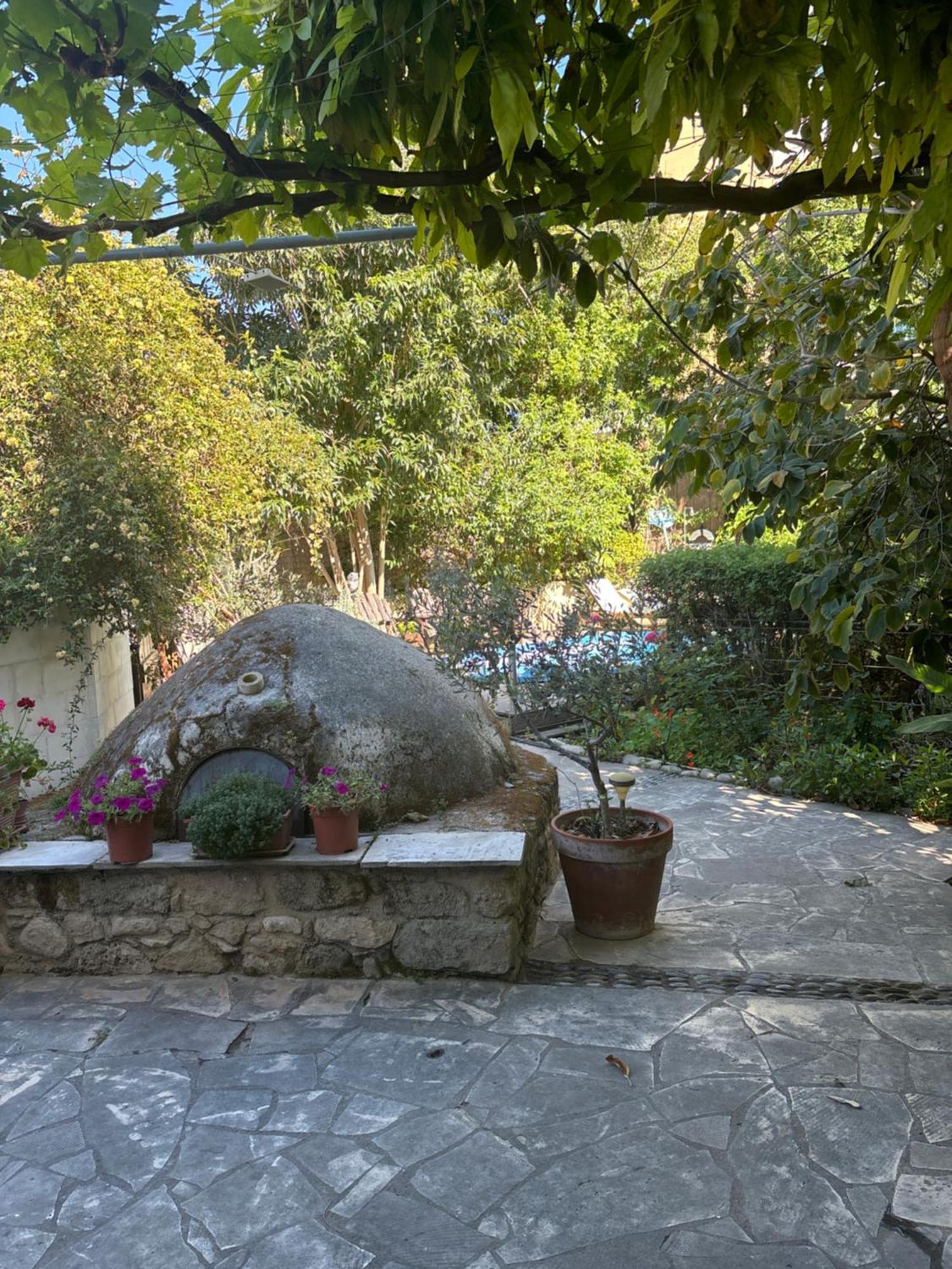 Villa Vasilion Agrotourism Polis Exterior foto