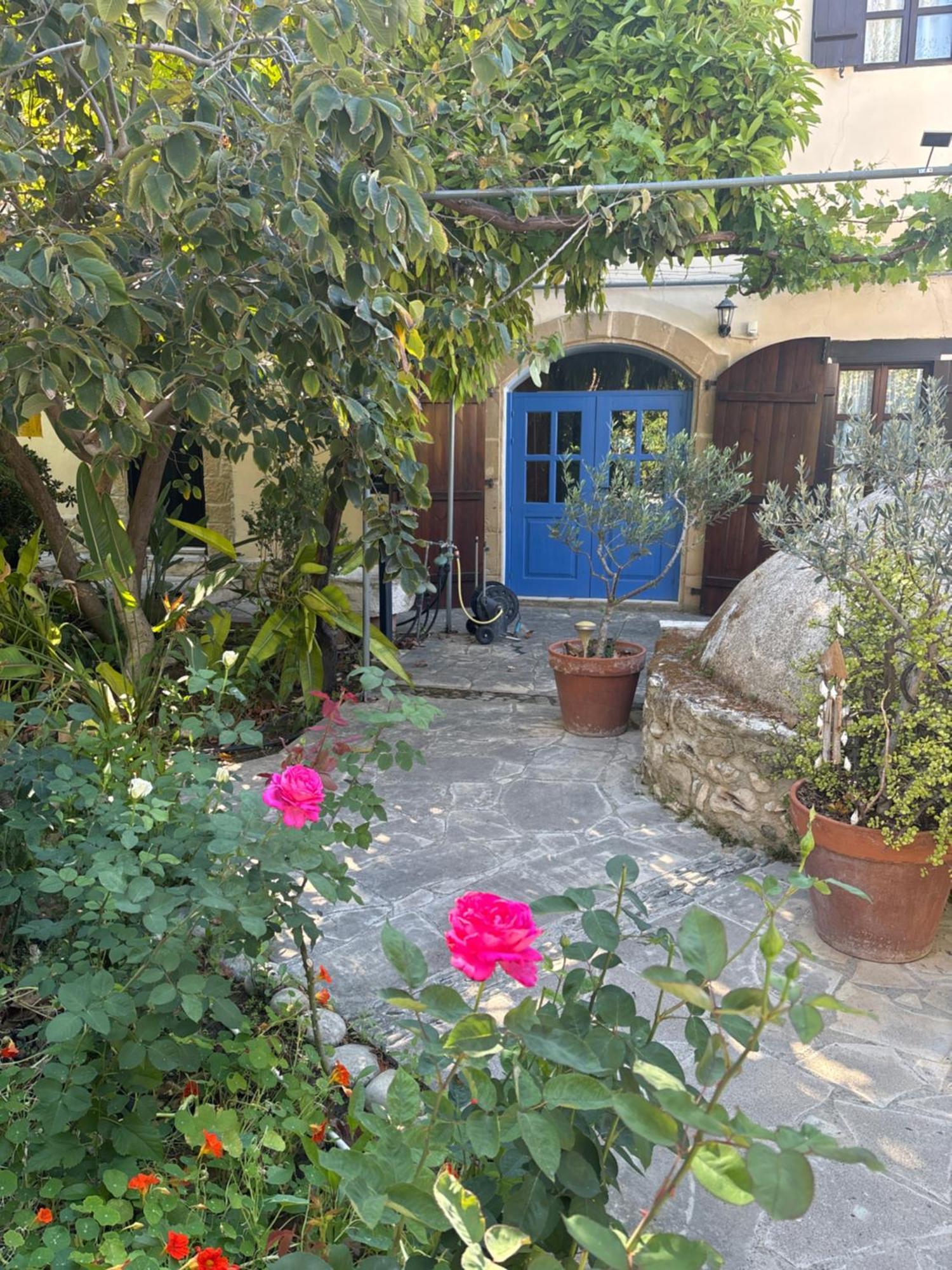Villa Vasilion Agrotourism Polis Exterior foto
